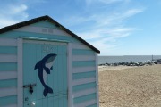 Undercliff_Road_East_14