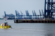 LGPoint_025