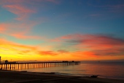 Website-Photo-Competition-2