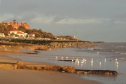 harvest-house-and-gulls