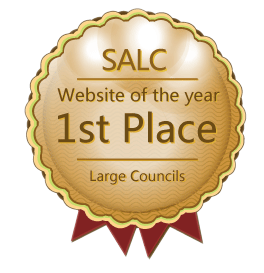 SALC Website of the Year 2015 - Large Councils