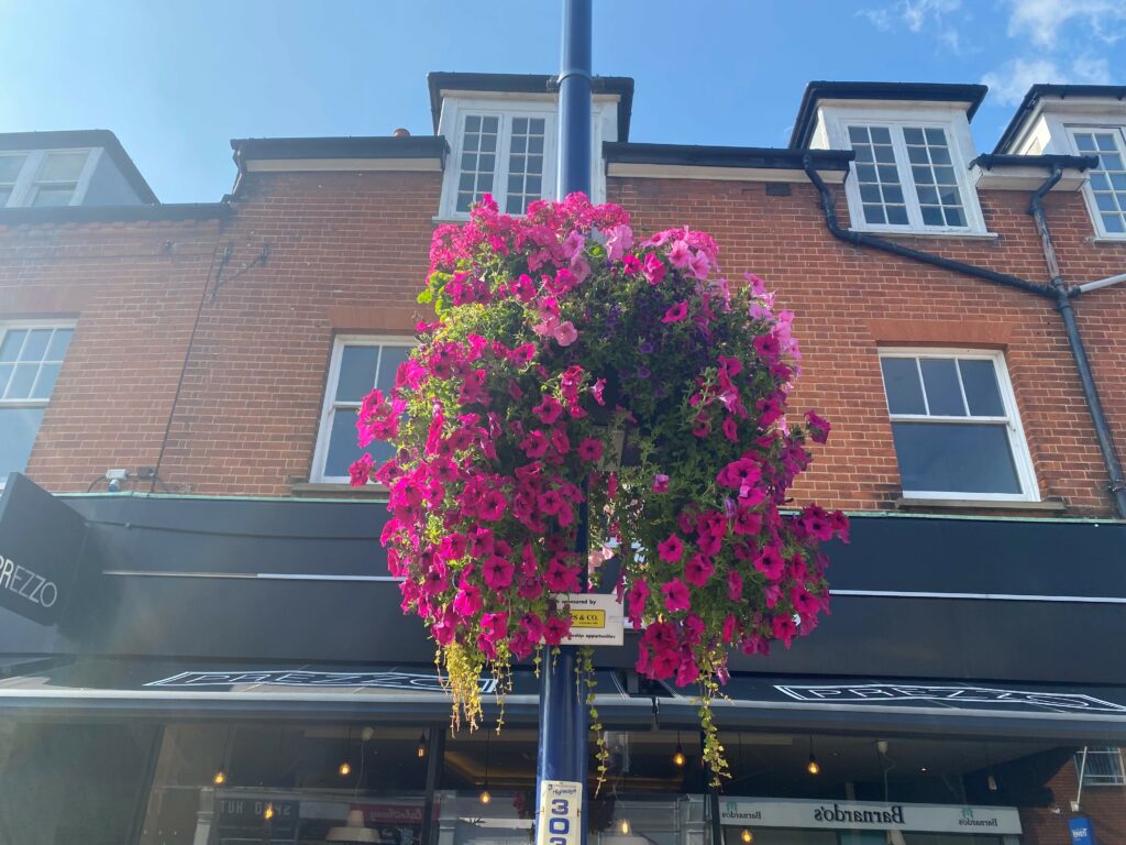 Felixstowe in Flower Returns for its 38th Year! Felixstowe Town Council